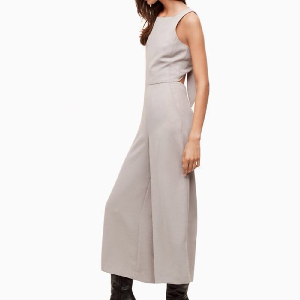 Aritzia Wilfred Jumpsuit